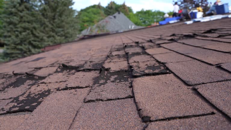 Best Roofing for New Construction  in Garden City, KS